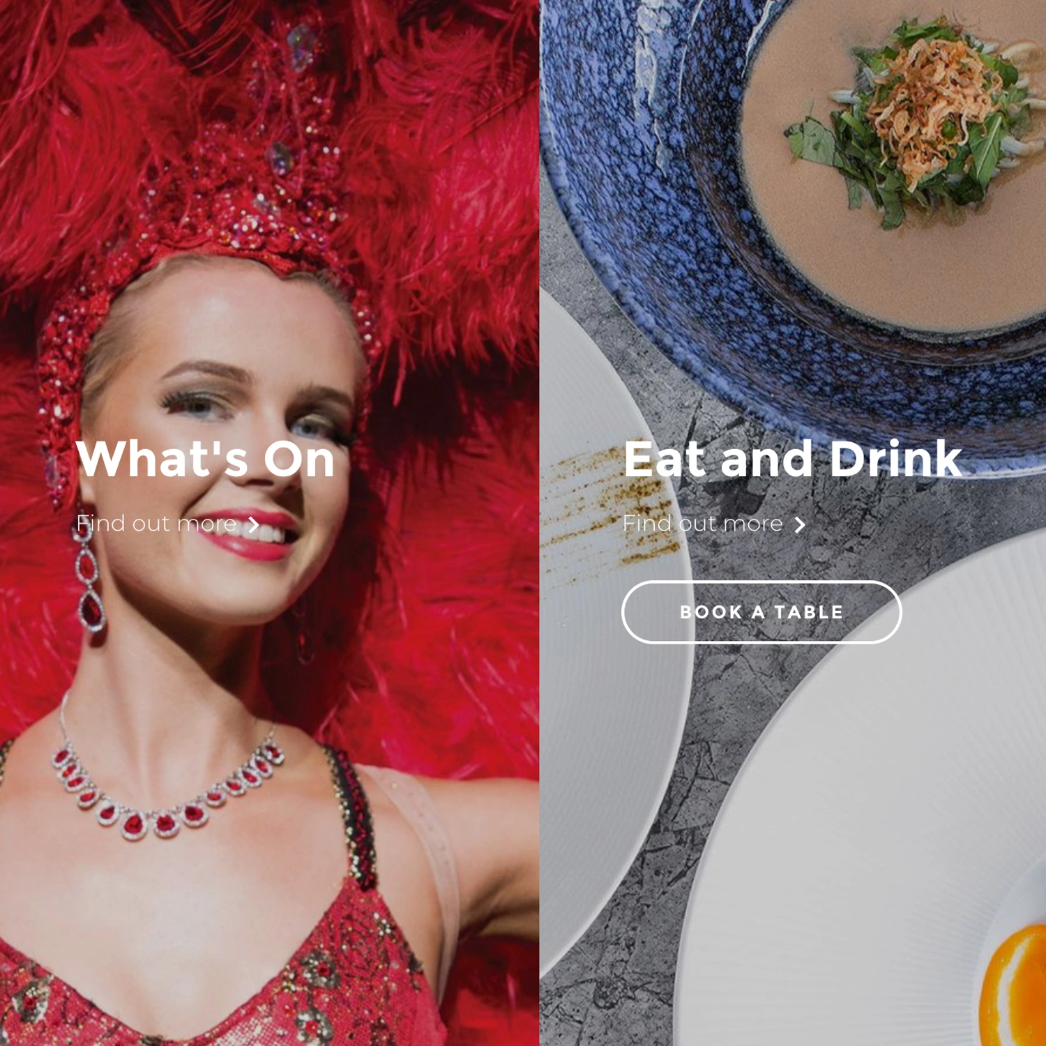 Web Design UX